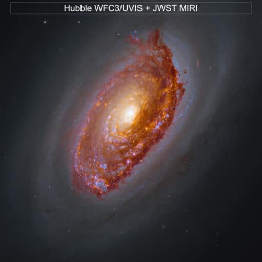 Webbův pohled na M64